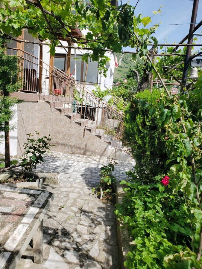 Lake Ohrid Guesthouse "Villa Valentina" Pogradaş Dış mekan fotoğraf